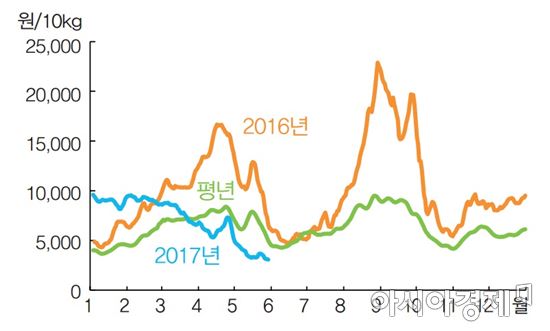 잡혀가는 채소 가격…"가뭄으로 또 도망갈라"