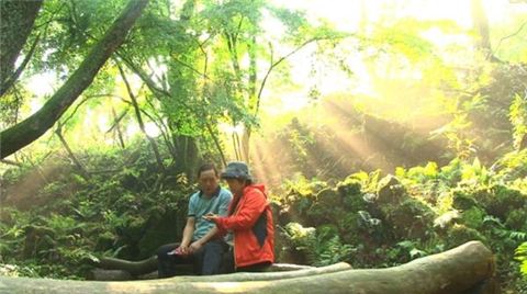 '인간극장' 뇌경색 몸으로 일군 제주도 곶자왈 환상숲