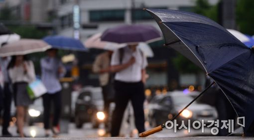 [포토]단비 내리고 더위 주춤