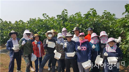 부안군, 영농철 농촌일손돕기 일제히 추진 ‘호평’