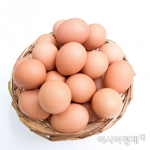 '달걀 가격 떨어질까'…산란계 사육 역대 최고치