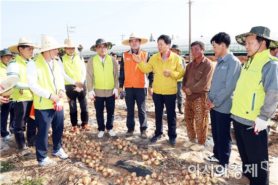 전남농협, ‘범농협 임직원 농촌일손돕기’실시