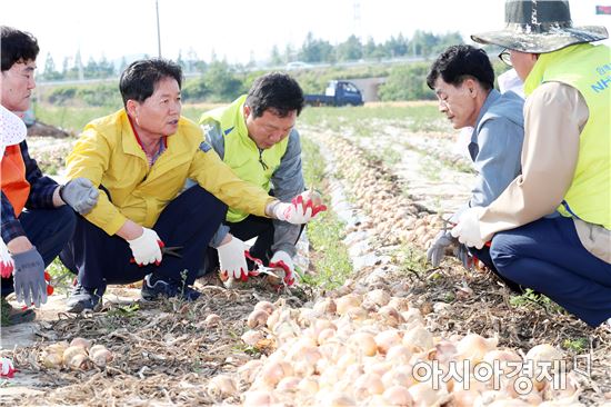 전남농협, ‘범농협 임직원 농촌일손돕기’실시