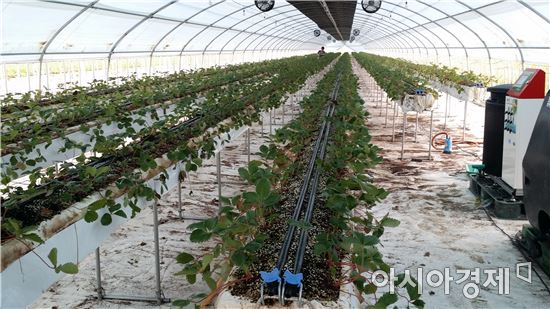 장성군 “한국농업 미래, 첨단농법에 달려 있다” 