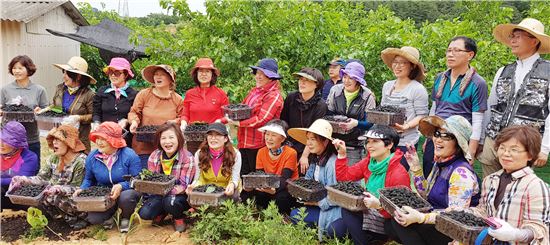 전남도청 대변인실,영광군에서 오디수확 봉사활동 실시