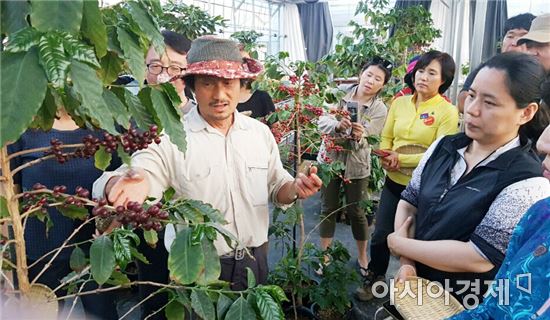 최고의 사진기자에서 커피향기에 풍덩 빠진 임영주 커피농부(담양커피농장)