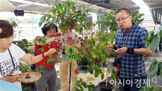 최고의 사진기자에서 커피향기에 풍덩 빠진 임영주 커피농부(담양커피농장)