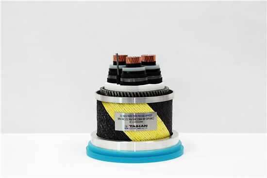 대한전선, 서남해 해상풍력사업 '해저케이블' 수주