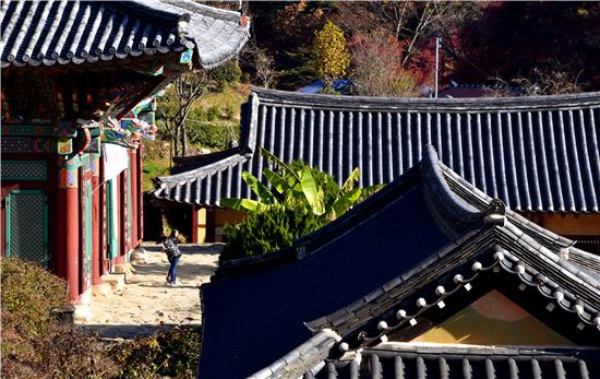 사천 다솔사