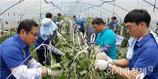 농협광주공판장, 출하농가 일손돕기에 구슬땀