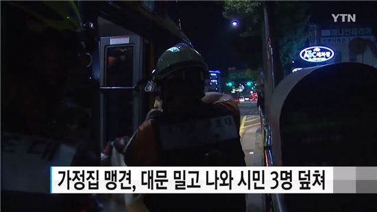 한밤중 서울 도심, '맹견' 도고아르젠티노의 습격..주민 3명 덮쳐