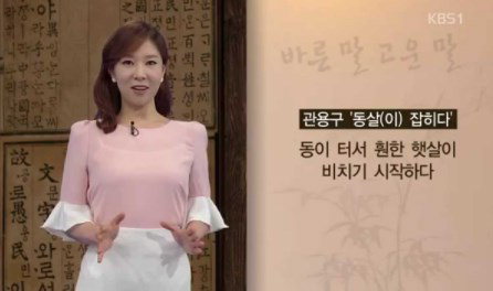 정은승 아나운서/사진=KBS 바른말 고운말 캡처