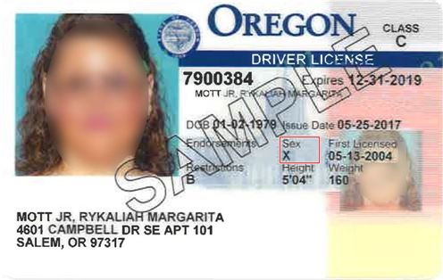 미국 오레곤주가 발급하는 새로운 운전면허증. '성별' 란에 남성(M), 여성(F)도 아닌 제3의 성을 뜻하는 'X'를 표기했다. / 사진=트위터 캡처
