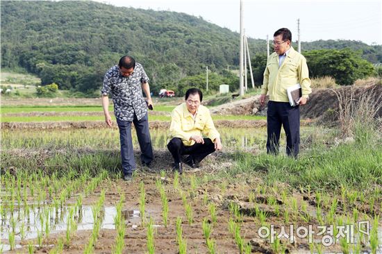 완도군 가뭄대비 전 행정력 집중키로