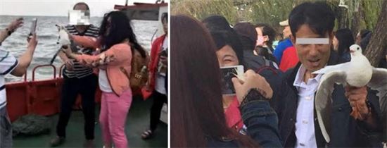 사진=웨이보 캡처 