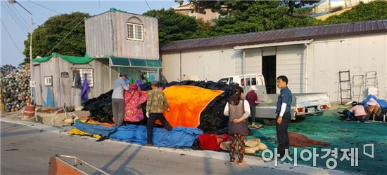 완도 금일파출소, 여름철 범죄예방 홍보활동 전개