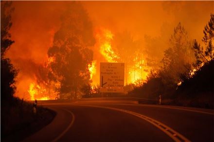 포르투갈 중부 레이히아주 페드호가우 그한데에서 17일(현지시간) 대형 산불이 발생, 나무들이 거센 화염에 휩싸여 있다.(사진=EPA연합)