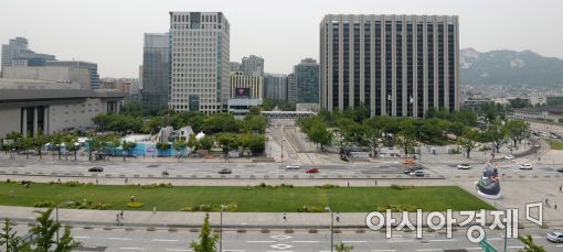 [포토]광장에 등장한 곰 한 마리