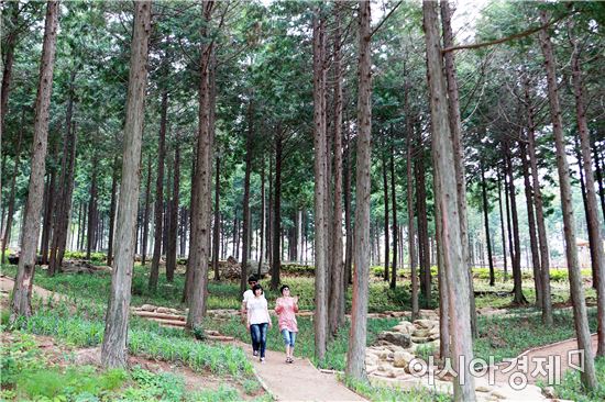 장흥군, “장흥 대표하는 9경·9미·9품 뽑는다”