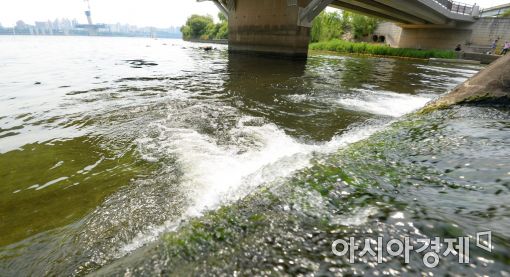 [포토]녹조 걱정
