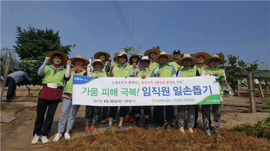 [포토]농협유통 임직원, 가뭄 피해 받는 농촌 일손돕기 실시 
