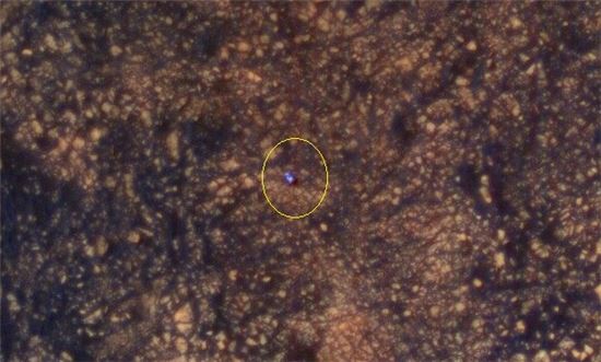 ▲화성궤도 탐사선 MRO가 지상에 있는 큐리오시티(원 안)를 지난 5일 찍었다.[사진제공=NASA]