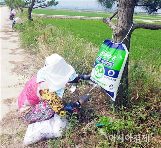 함평군 가로수 물주머니 설치