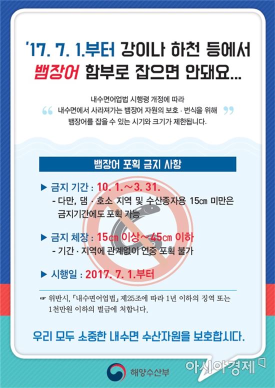 새끼 뱀장어 잡으면 1년 이하 징역 처분