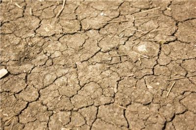 가뭄에 쩍쩍 갈라진 농지(사진=아시아경제 DB)