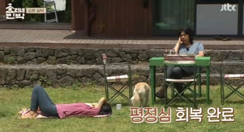 사진=JTBC '효리네 민박' 캡처
