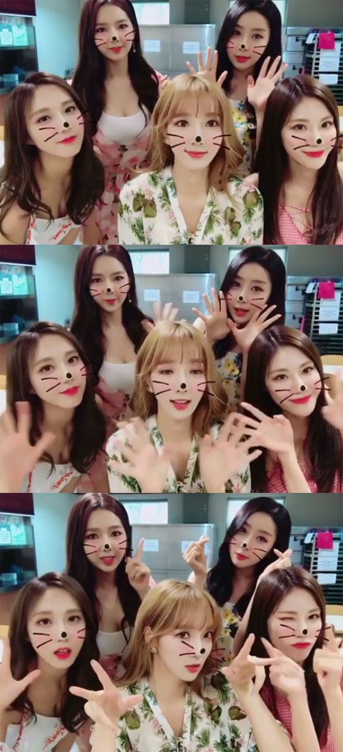 고양이로 변신한 스텔라 "신곡 많이 사랑해주세요" 