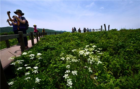 [여행만리]동해로 칼퇴, 일출 보고 출근, 90분 거리 풍경