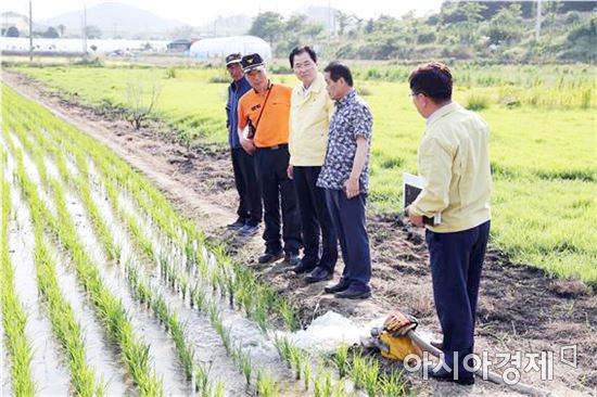 완도군, 가뭄대책비 5억원 추가 투입