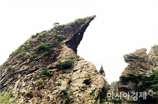 보성군, "300억원 투입~오봉산권역 관광명소 만든다"