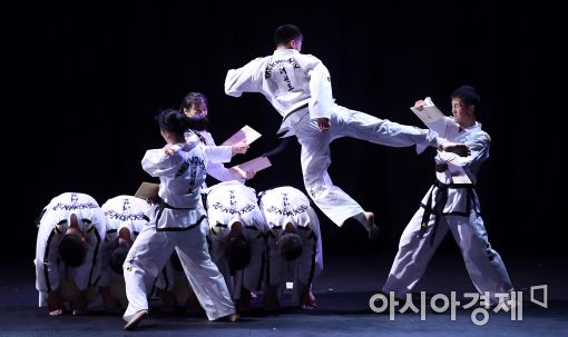 [포토]북한 태권도 격파 시범
