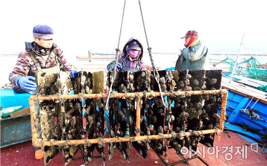 완도군⇔호남지방통계청, 전국 최초 '2016 완도군 어업실태조사' 통계 공표