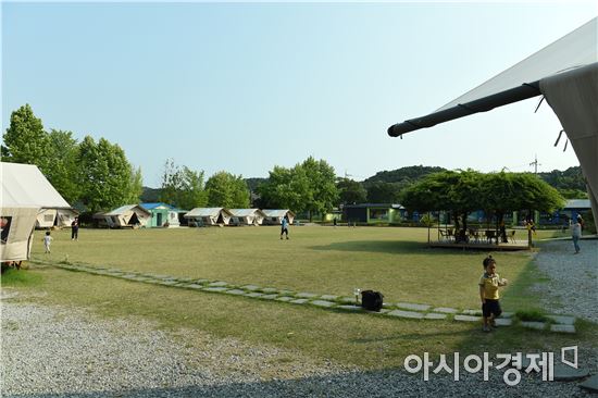 장성군 "편백나무로 마을형 일자리 만든다"