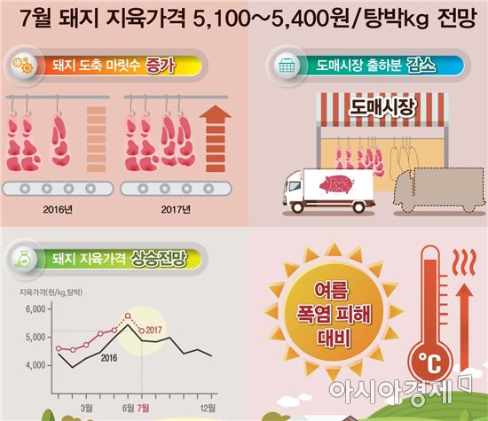 한풀 꺾인 돼지고기 가격…10월까지 계속 떨어진다  