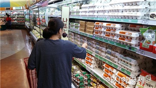 살충제 파동 전 소비자가 대형마트에서 달걀을 고르고 있다.(사진=아시아경제 DB)