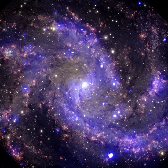 ▲'불꽃 은하'라는 별칭으로 통하는 NGC 6946.[사진제공=NASA/CXC/MSSL]