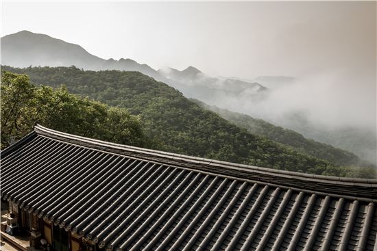 비 오면 더 볼 만한 풍경소리 6선