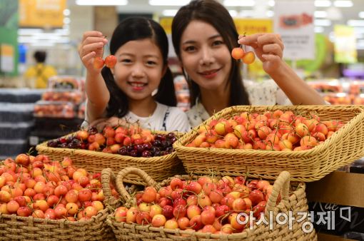 [포토]'당도 높은 스카이라래 체리 맛보세요'