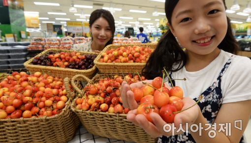 [포토]'당도 높은 스카이라래 체리 맛보세요'