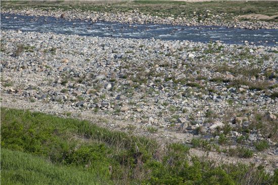 [조문환의 지리산별곡 ⑧]시골소년 같은 경호강, 그와 손 맞잡다