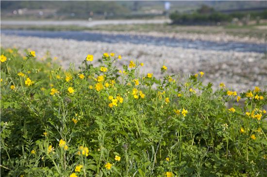 [조문환의 지리산별곡 ⑧]시골소년 같은 경호강, 그와 손 맞잡다