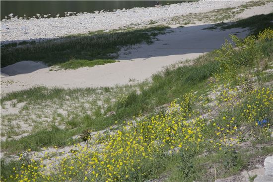 [조문환의 지리산별곡 ⑧]시골소년 같은 경호강, 그와 손 맞잡다