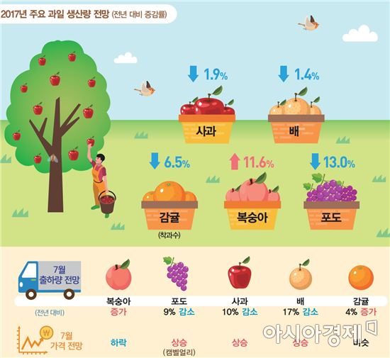 사과·배 생산 부진…가격 1년 전보다 비싸진다