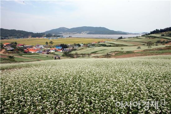 장흥 선학동 마을 ‘행복마을 만들기 최우수상’  수상