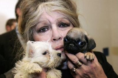 프랑스 배우 브리지트 바르도 별세…향년 91세