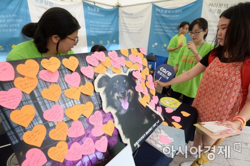 [포토]'복날에 개고기 식용 반대합니다'